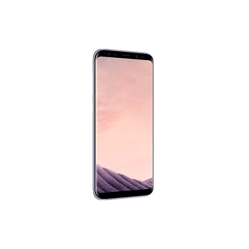 LCD Originale Samsung G955 Galaxy S8 PLUS Violet GH97-20470C