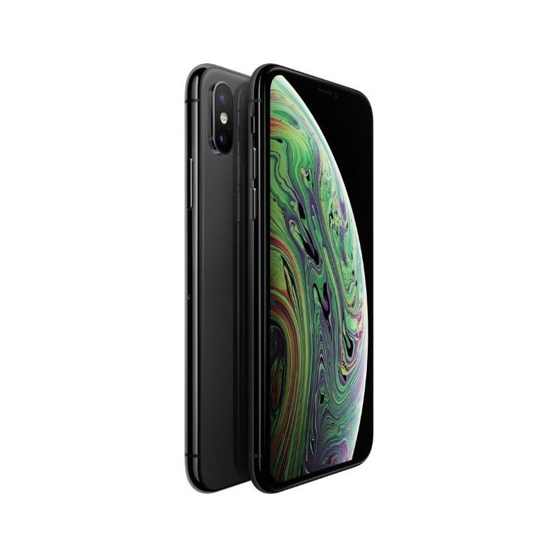 iPhone XS 64Gb Usato Grado A Garanzia 1 anno Grey