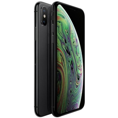 iPhone XS 64Gb Usato Grado A Garanzia 1 anno Grey