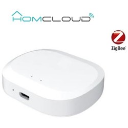 Centralina intelligente Hub - Zigbee+Bluetooth